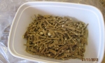 Silene capensis - chopped