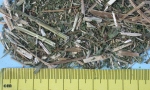 Stinging Nettle coarse cut (hammer mill)