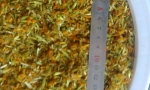 Leonotus